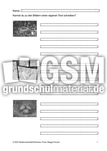 AB-Aufzucht-der-Jungen-SW.pdf